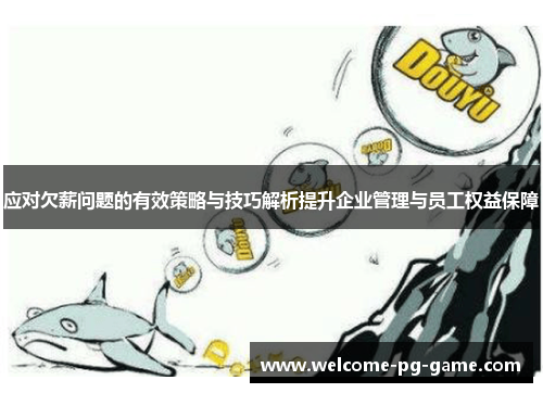 应对欠薪问题的有效策略与技巧解析提升企业管理与员工权益保障 应对欠薪问题的有效策略与技巧解析提升企业管理与员工权益保障