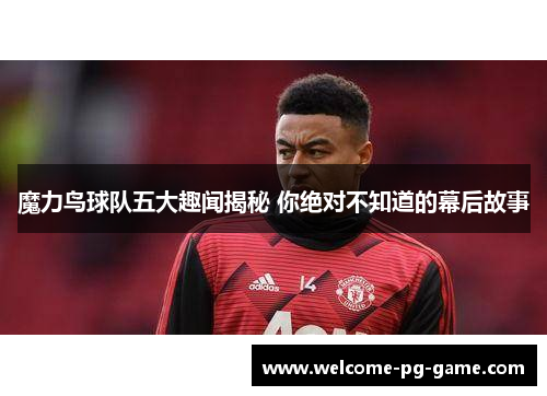 魔力鸟球队五大趣闻揭秘 你绝对不知道的幕后故事