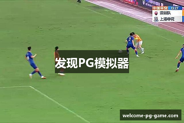 发现PG模拟器